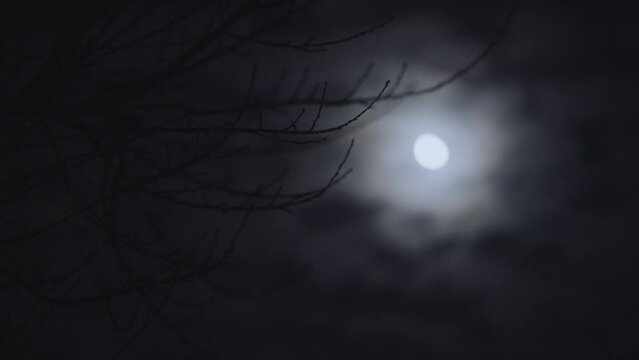 Scenic view of the moon shining between fluffy clouds in the dark sky at nighttime