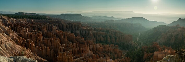 Panoramic view of a beautiful forest near the mountains
