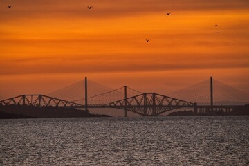 Fototapeta na wymiar Scenic view of birds flying over the Forth Bridges on the sea at golden hour