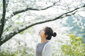 桜の花と女性