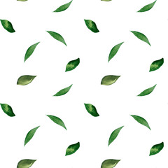 Hand drawn watercolor green leaves seamless pattern. 