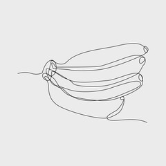 isolated banana continuous single line vector illustration. One line hand drawn banana illustration