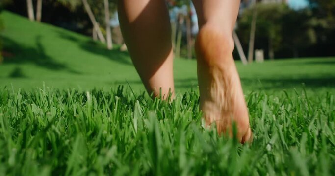 Bare feet walk on green grass close-up view.