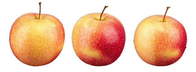 Сollection ripe apple with water drops on an isolated white background.