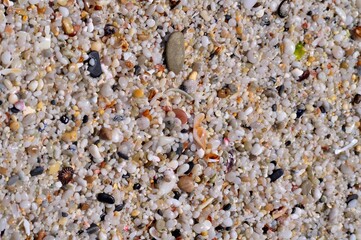 sand grains - macro