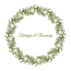 Fototapeta na wymiar Tarragon and rosemary floral hand drawn wreath
