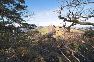 Obraz premium the viewpoint 