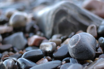 Grey pebble with white circle on beach