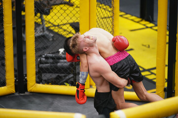 Mixed Martial Art, Lifting an opponent up and dropping them on the ground will cause the opponent...
