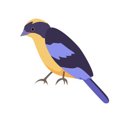 bird blue winged cartoon