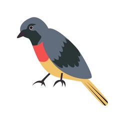 bird small minvet cartoon