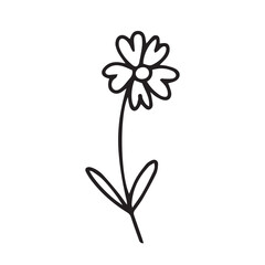 Doodle flower illustration