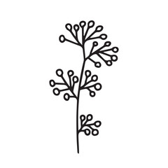 Vector winter herb with berries illustration. Hand drawn doodle plant with berries