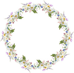 floral wreath with meadow flowers - obrazy, fototapety, plakaty
