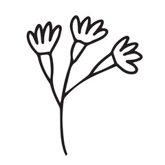 Small summer flower doodle illustration. Hand drawn cornflower doodle isolated