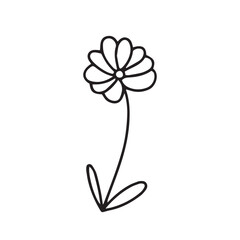 Cute vector doodle flower illustration. Hand drawn little herb isolated