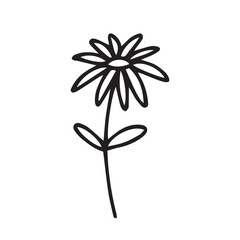 Doodle flower vector illustration. Hand drawn little flower sketch