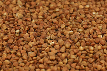 Brown buckwheat groats close-up.