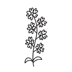 Fototapeta na wymiar Doodle chamomile vector illustration. Hand drawn wild chamomile sketch