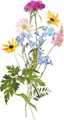 wild flowers illustration © milavas
