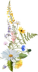 decorative bouquet of meadow flowers © milavas
