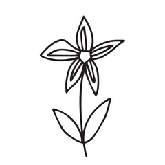 Vector summer flower illustration. Cute daisy flower sketch