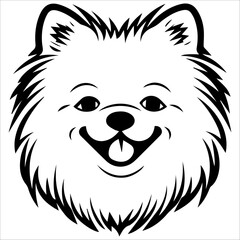 illustration of cartoon pomeranian