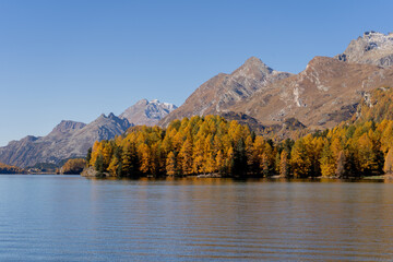 Fototapeta premium Engadin im Herbst