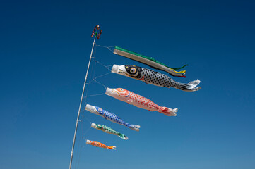 鯉のぼり