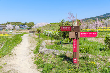 【奈良県】山辺の道