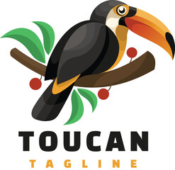 toucan bird on branch © nurdin