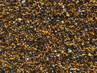 Shingle, sand grains and broken pieces of shell, that make up the sands of many south coats beaches as the sea erodes the materials.