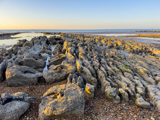 Gradually eroded wave-cut platform of sandstone at Bexhill, East Sussex, England