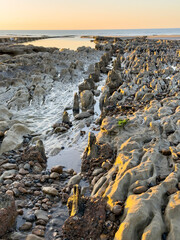 Old Victorian wooden groyne eroded by the sea at Bexhill, East Sussex, England