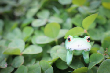 物思いにふけるカエル