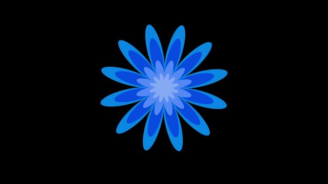 Animation of a blue flower spinning on a black background. Element. Isolated.
