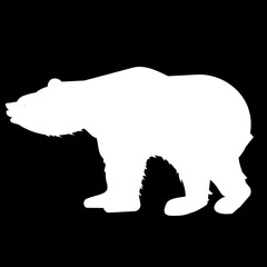 silhouette of a polar bear