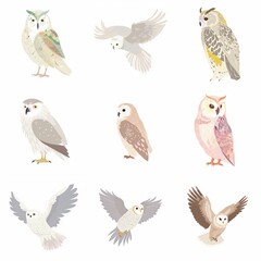 Obraz na płótnie Canvas flat illustration, set of owl | Generative AI