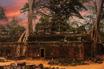 Panorama of ancient stone door and tree roots, Ta Prohm temple ruins, Angkor, Cambodia