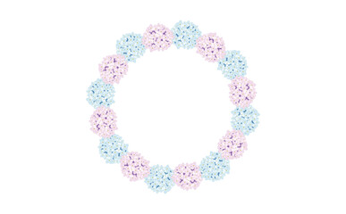 ピンクと水色の紫陽花フレーム　イラスト