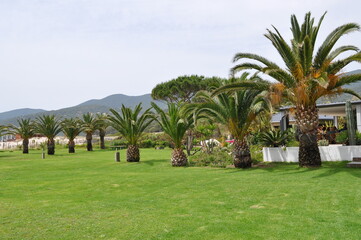 Jardin Cactus Corse