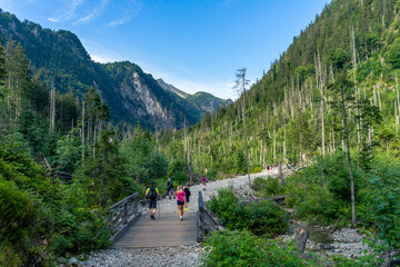 Turyści na Szlaku Zielonym w drodze do Doliny Pięciu Stawów