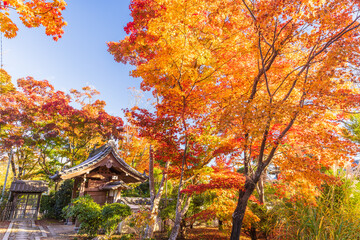 京都　源光庵の紅葉
