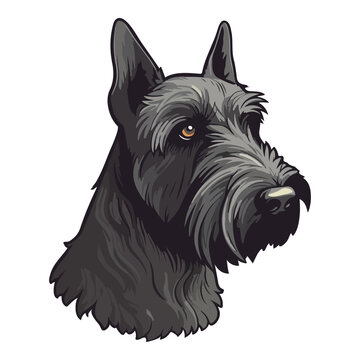 recommend clip art: Scottish Terrier Dog Flat Icon Isolated On White Background