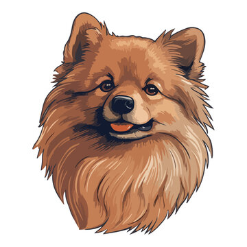 German Spitz Dog Flat Icon Isolated On White Background