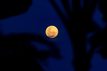 moon in the night