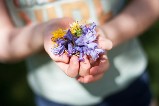 persona sujetando flores