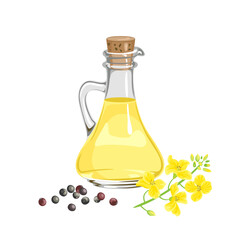 Canola seed oil in glass bottle, yellow flower and heap of seeds isolated on white background. Vector cartoon illustration. 
