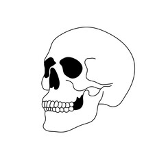 Vector isolated one single simplest smiling skull dead head isometric side view colorless black and white contour line easy drawing