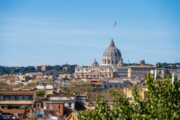 Fototapeta na wymiar Rom, Italien, Apr. 2023 Blickauf den Vatikan, den Petersdom und die Kuuppel des Doms, eine Möwe fligt vorbei